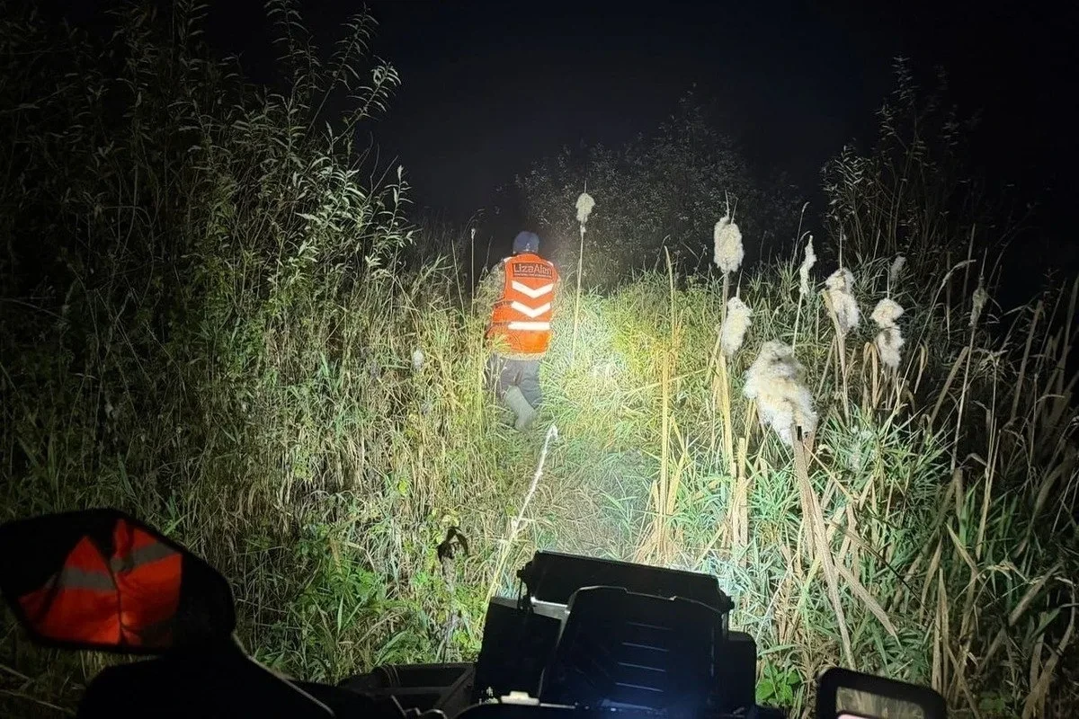 🚶 В Медведево нашли пропавшую пенсионерку в четырёх километрах от дома