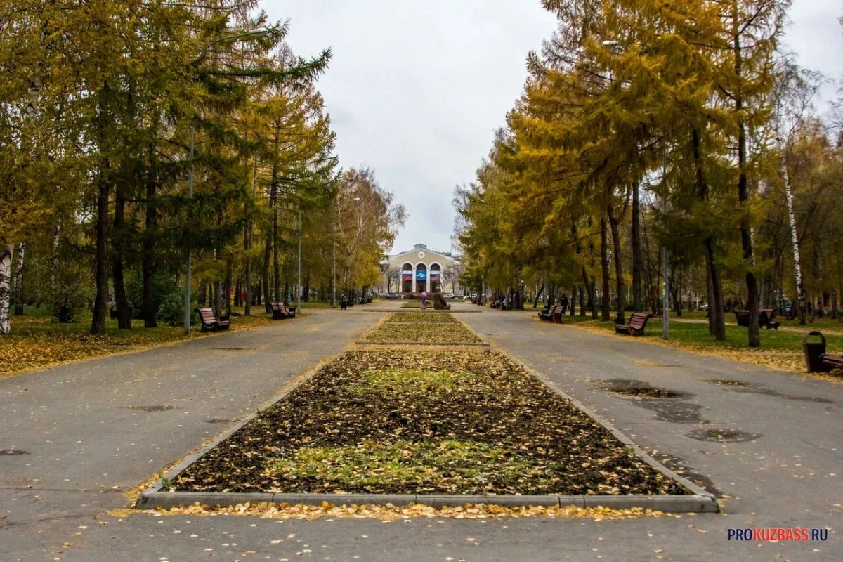Дождь со снегом: в Кузбасс приходит зима