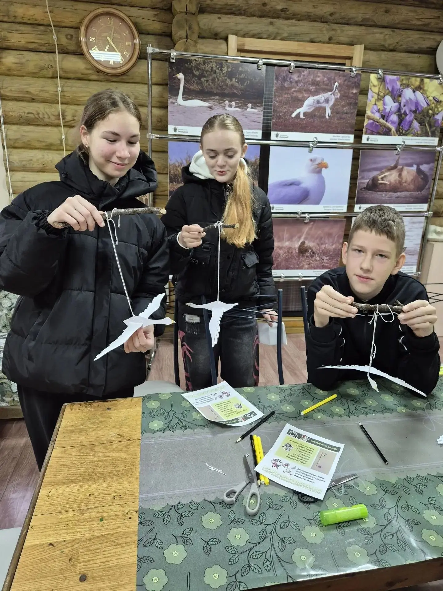 В заповеднике «Ненецкий» проводили перелётных птиц в тёплые края