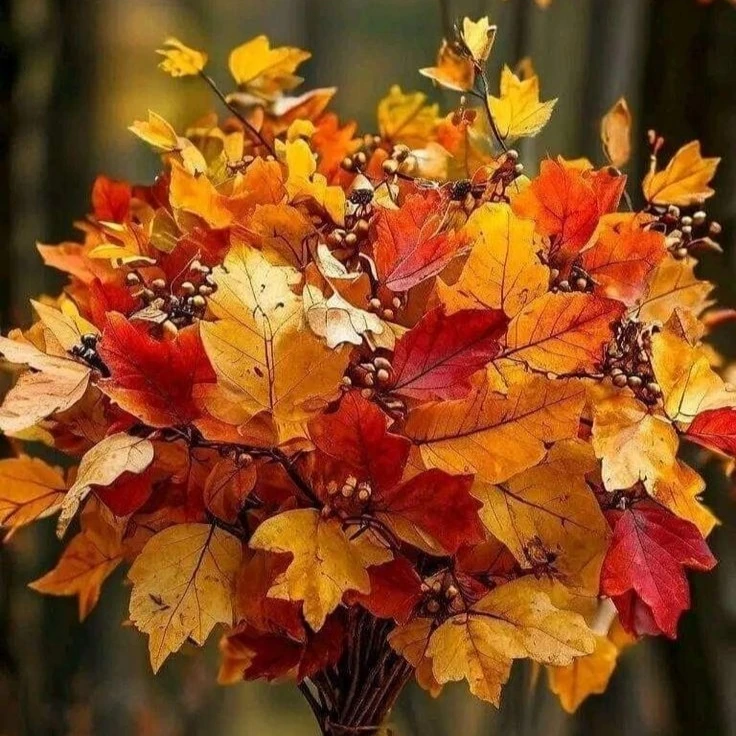 Живите с удовольствием) 💛🍁