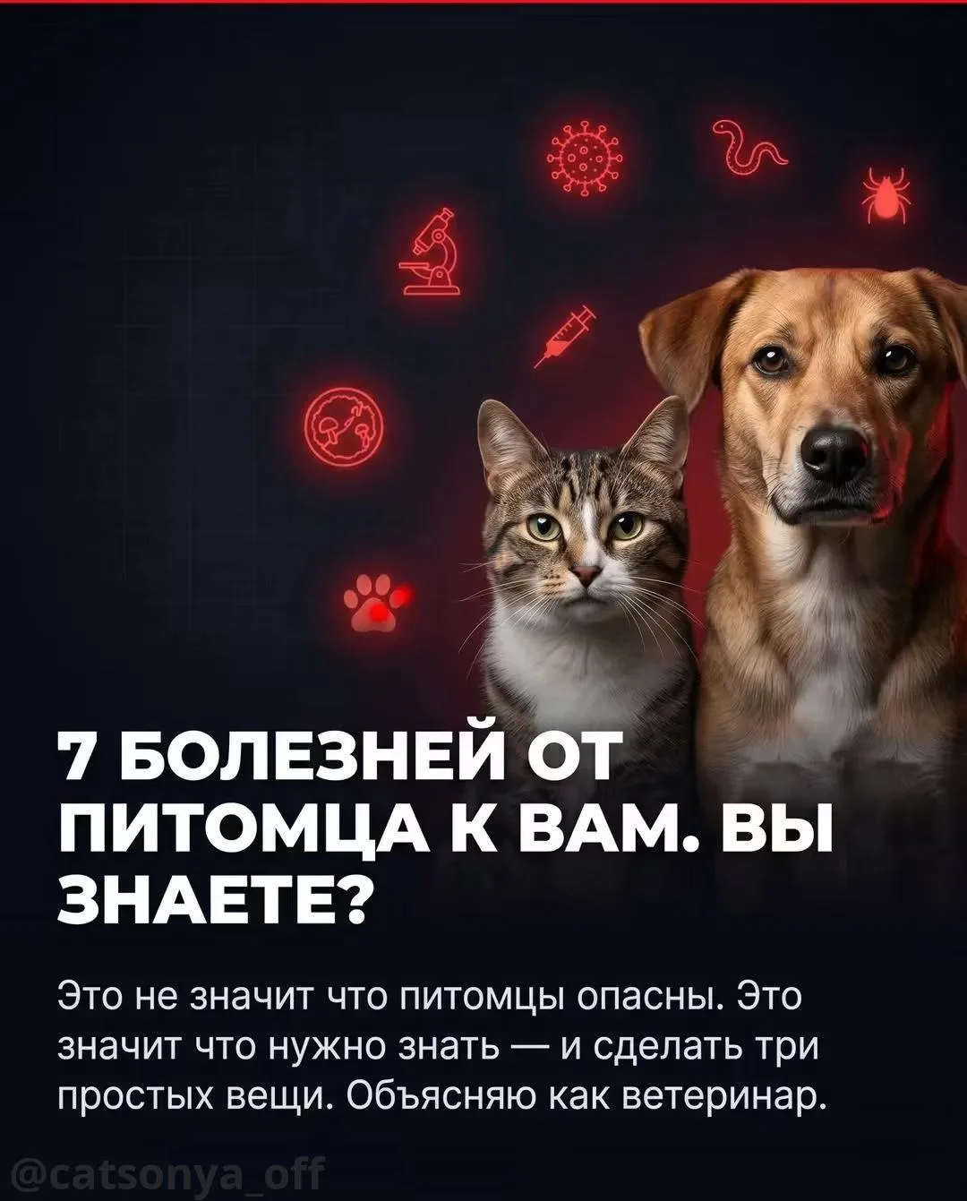 Если у вас в доме живёт кошка или собака — этот пост обязателен к прочтению.