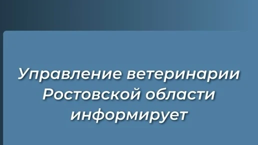 ⚡ Системы «ВетИС» и «Сатурн» перевели в аварийный режим