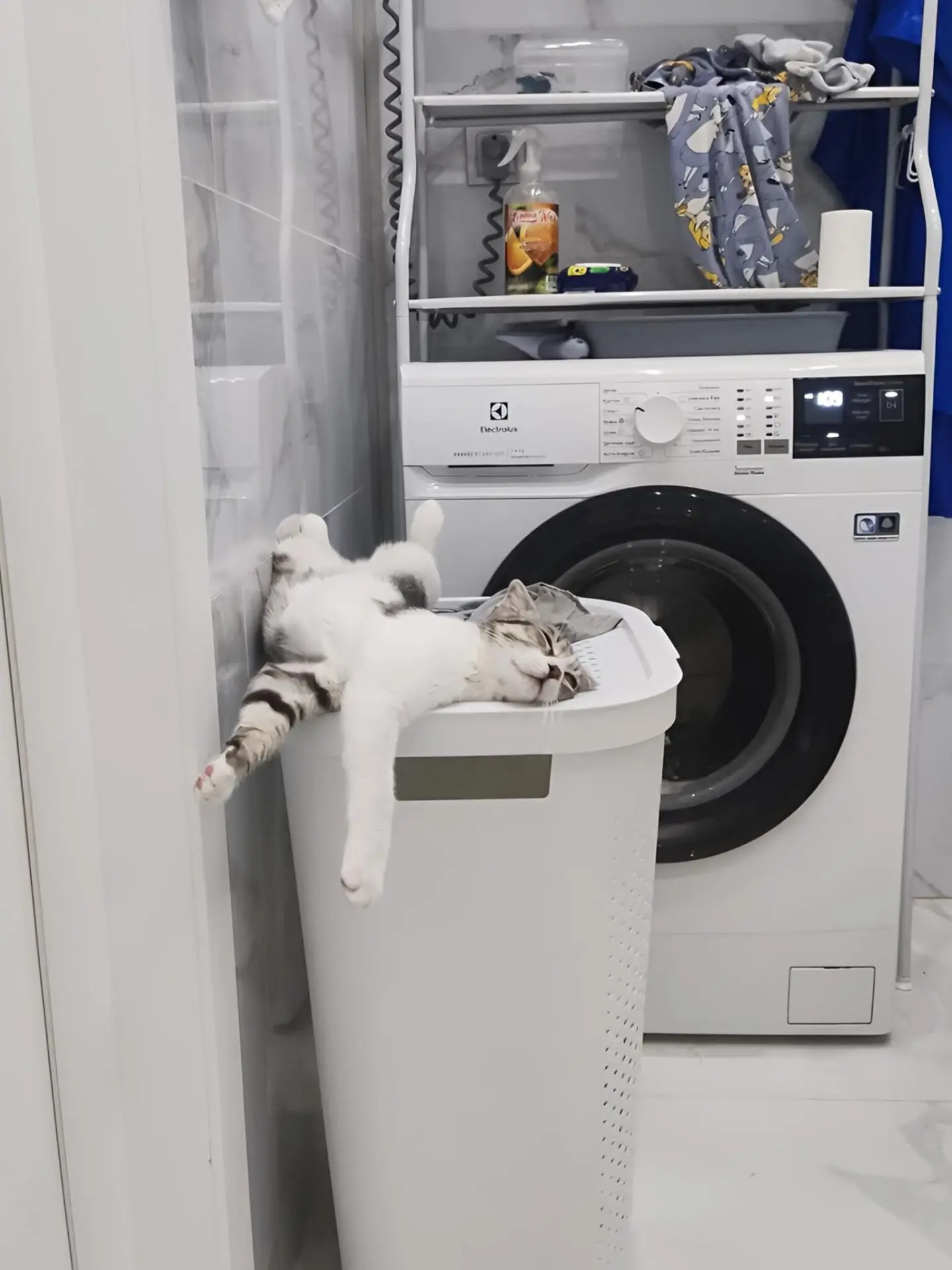Акт приёмки от «Чистого Мира» 😻