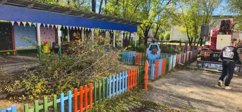 ❗️Опасные деревья спилили в трех селах Приамурья