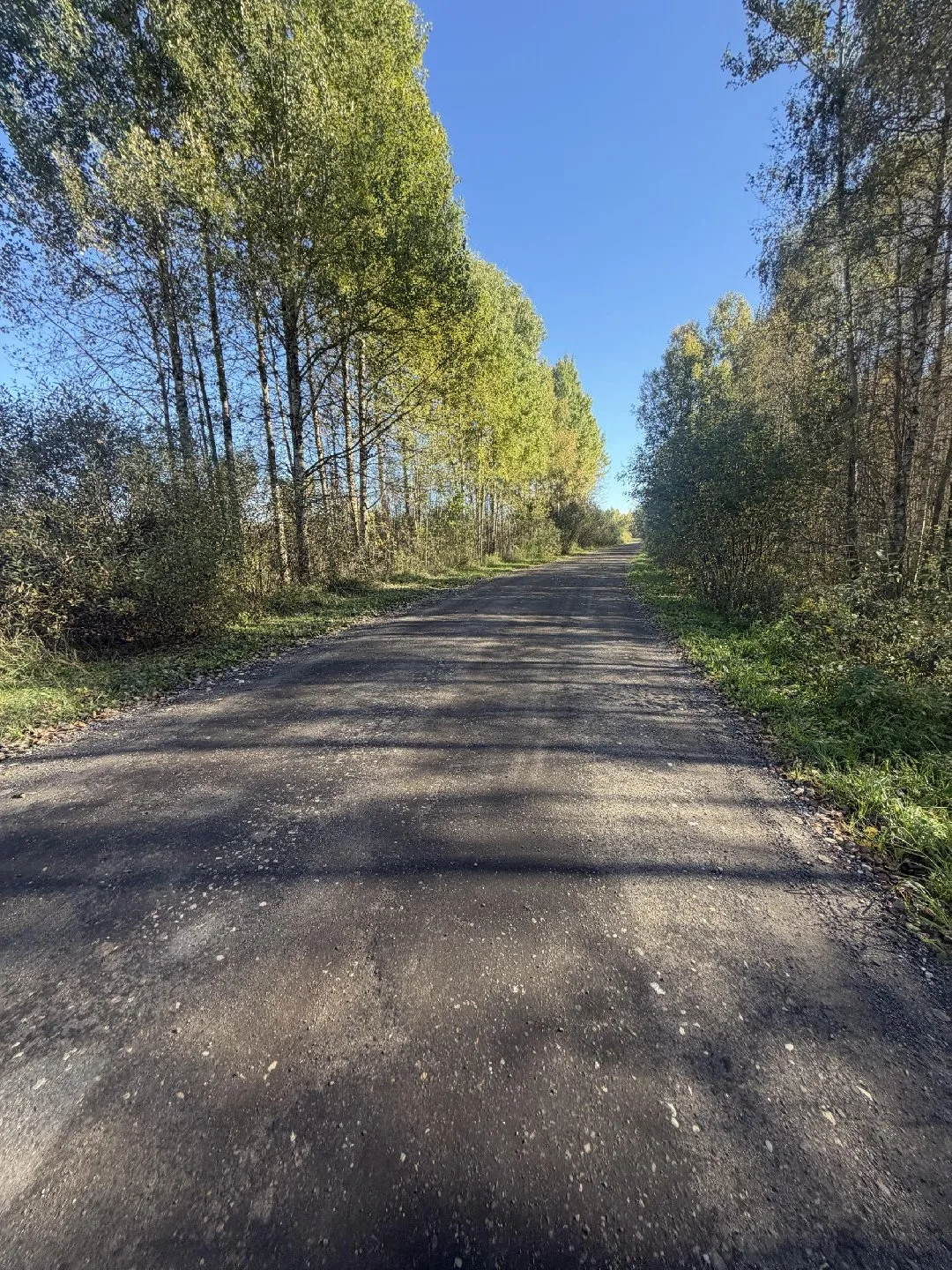 Мособлконтроль проверяет состояние дорог в Шатуре