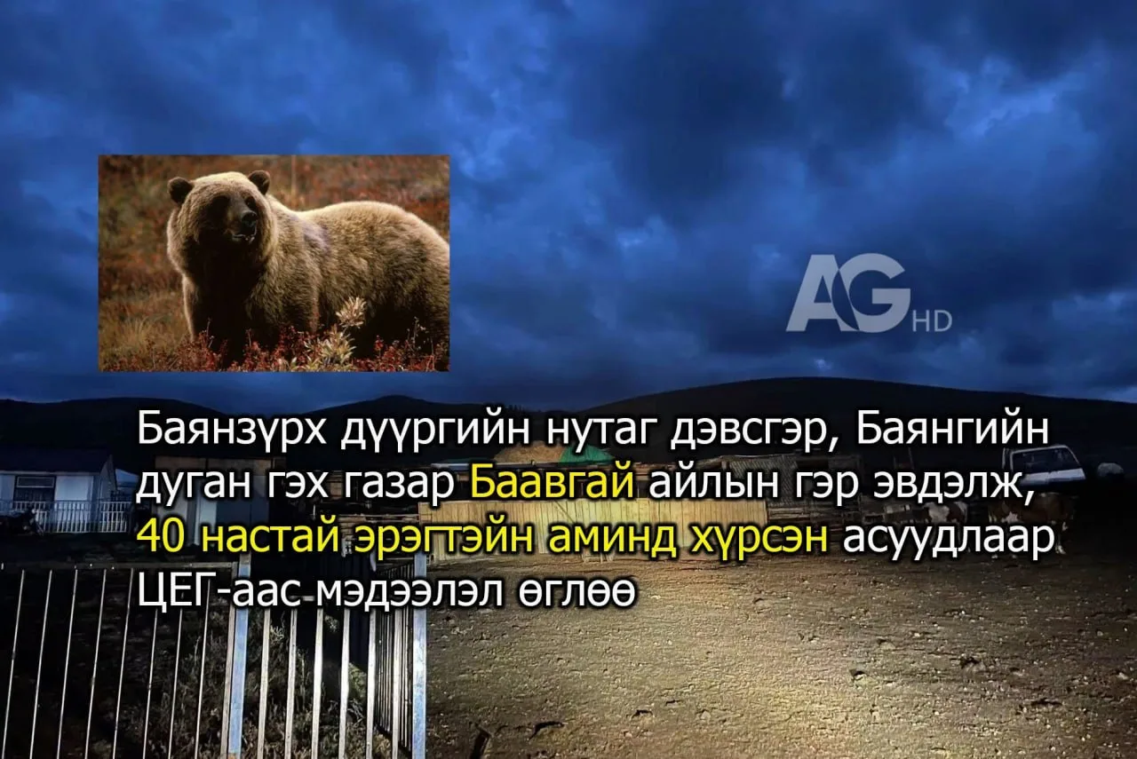 😰 В Улан-Баторе медведь убил 40-летнего мужчину и тяжело ранил его жену