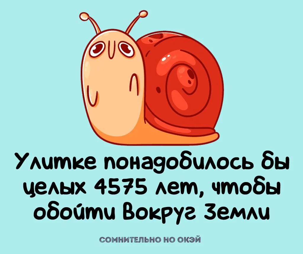 Признавайтесь, знали?