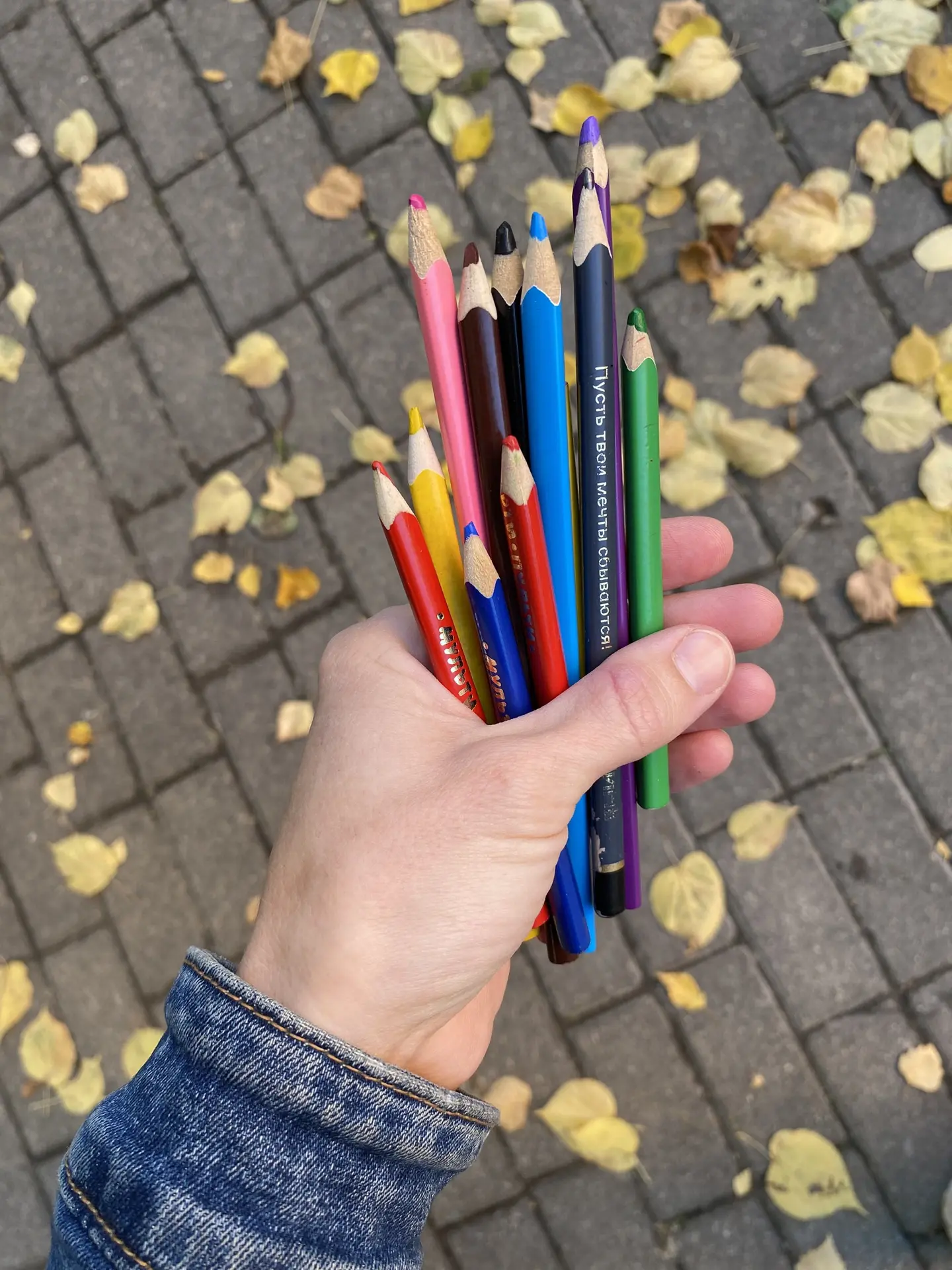 ✏️ Пока я ждала тебя, я поточила твои цветные карандаши.