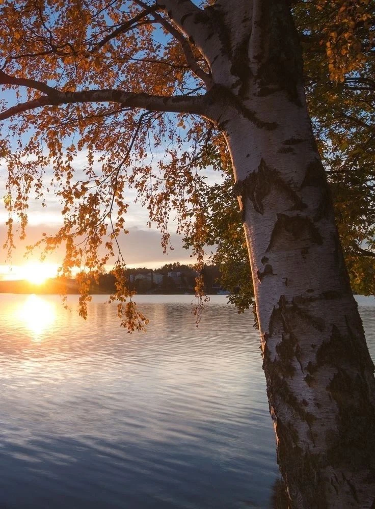 🌤️ Доброе утро, Сычевка и ближ лежащие округа!
