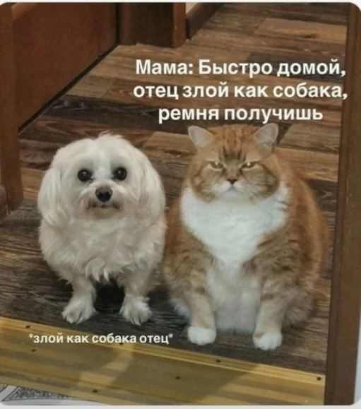 Доброе утро😁