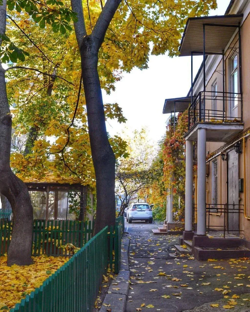 🏛 Тихий дворик, где встречались Булгаков и Маяковский