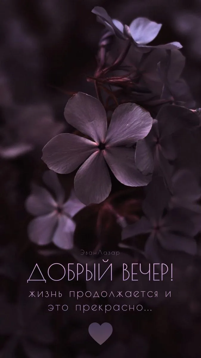 💞ЭСТЕТИЧНЫЕ ОТКРЫТКИ💞