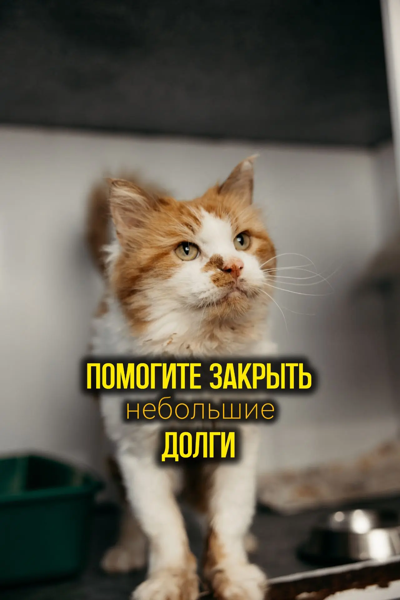 Очень нужна помощь в погашении "зависших" долгов!
