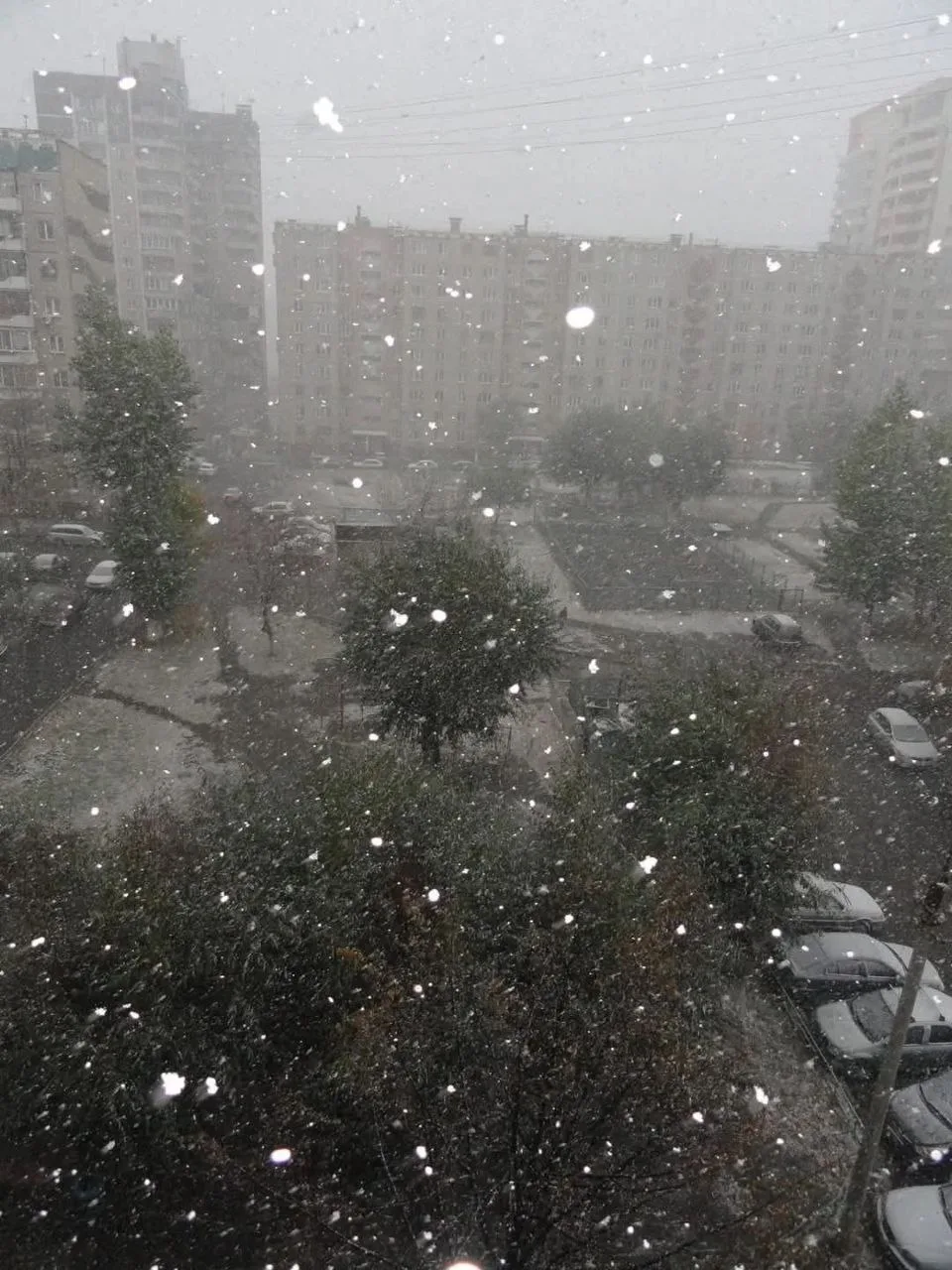 Доброе утро, любимые подписчики. Сегодня ожидается дождь и +11.