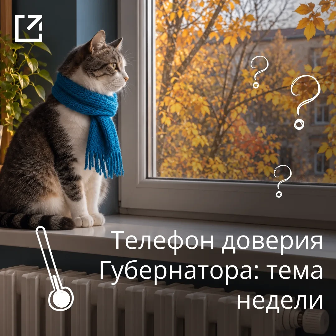 📞 За месяц операторы «телефона доверия Губернатора» приняли 2 200 звонков