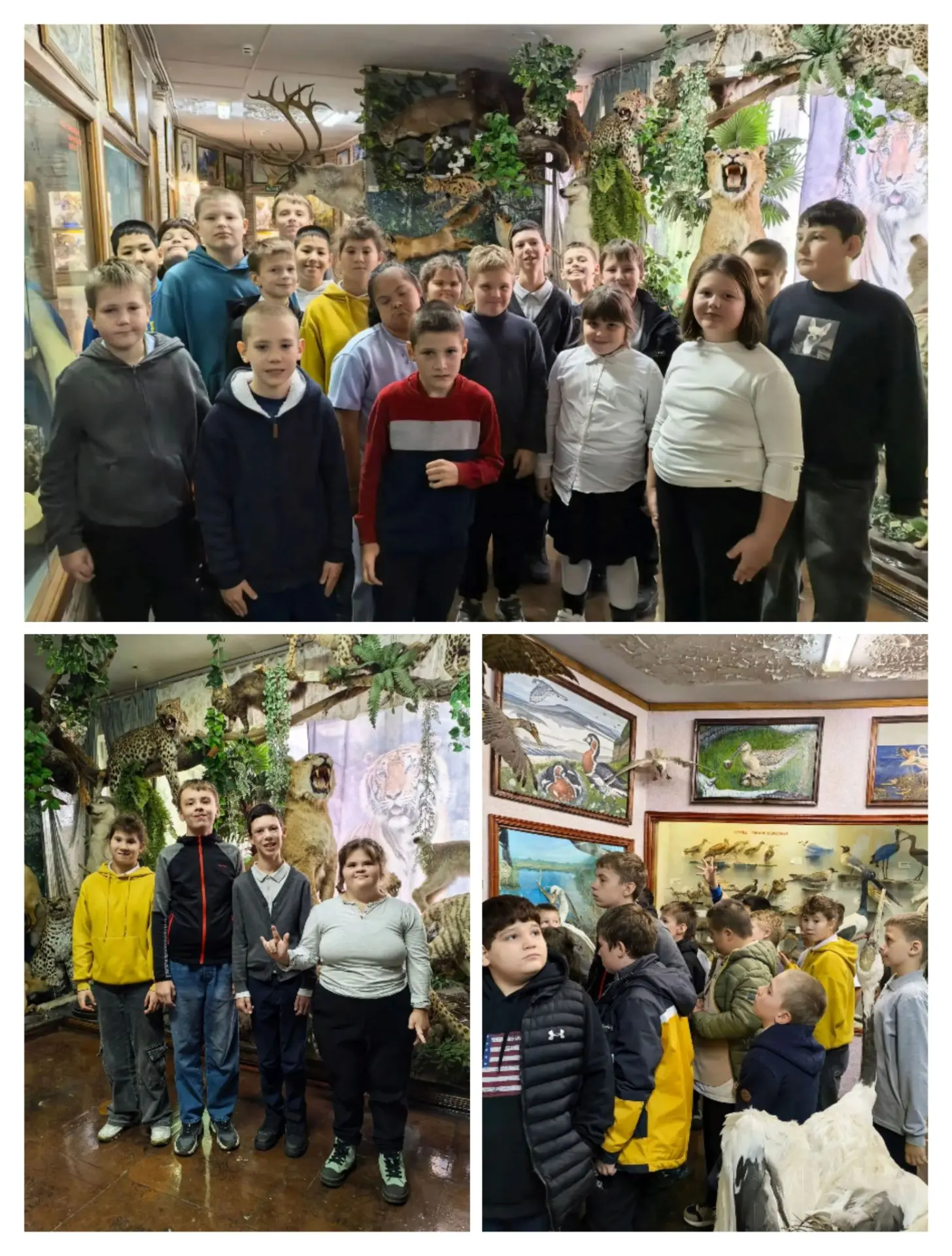 🦁 Путешествие в мир животных: экскурсия в Зоологический музей им. Д. Н. Флорова СГСПУ!...