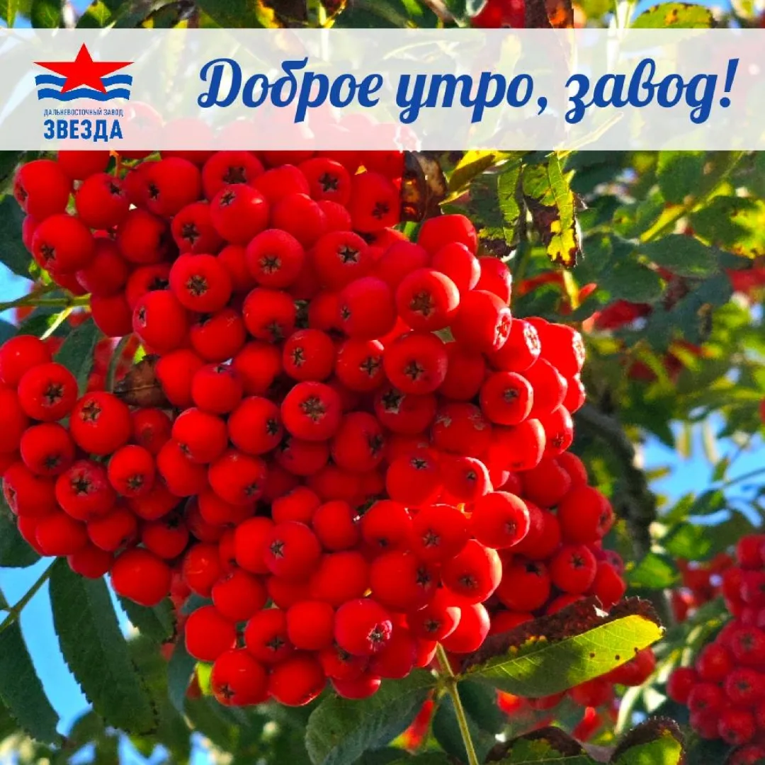 ☕Доброе утро, коллеги!