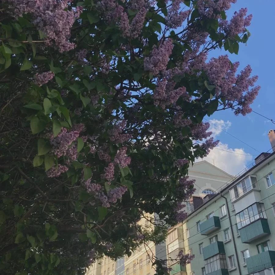 Однажды ты себе скажешь: