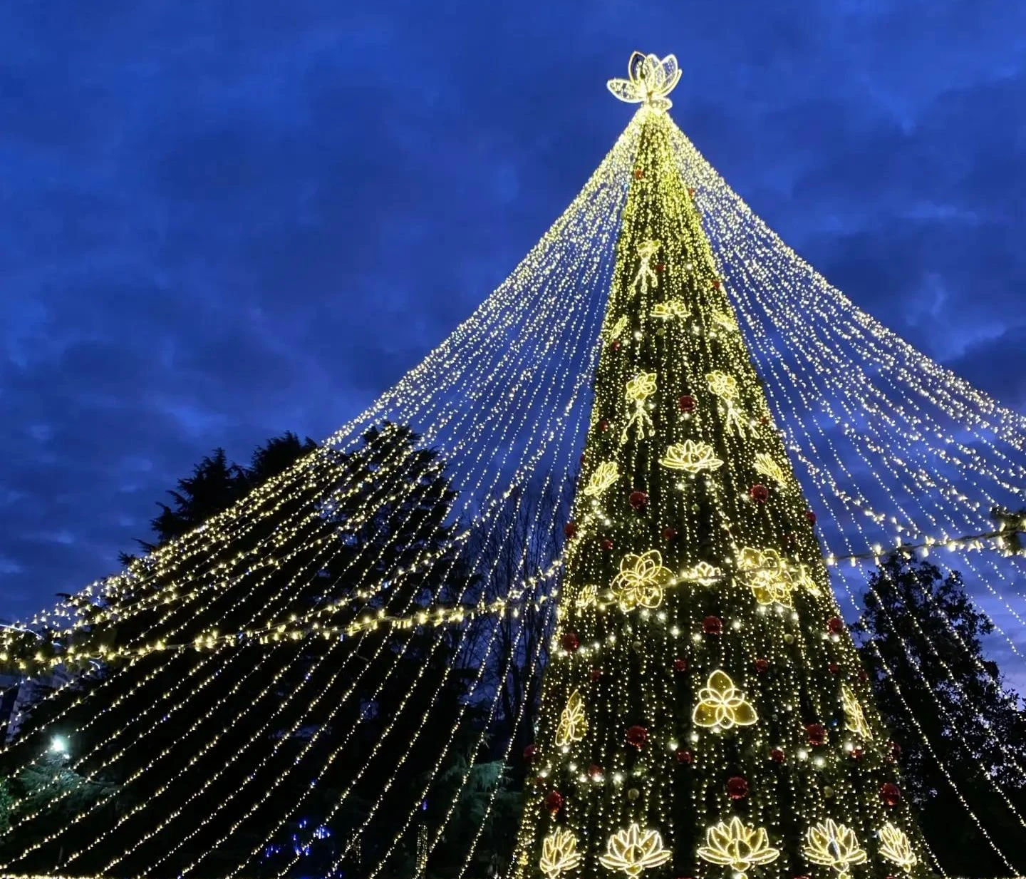 🎄 Мэрия Краснодара направит 5,4 млн рублей на установку новогодних елок в 2026 году