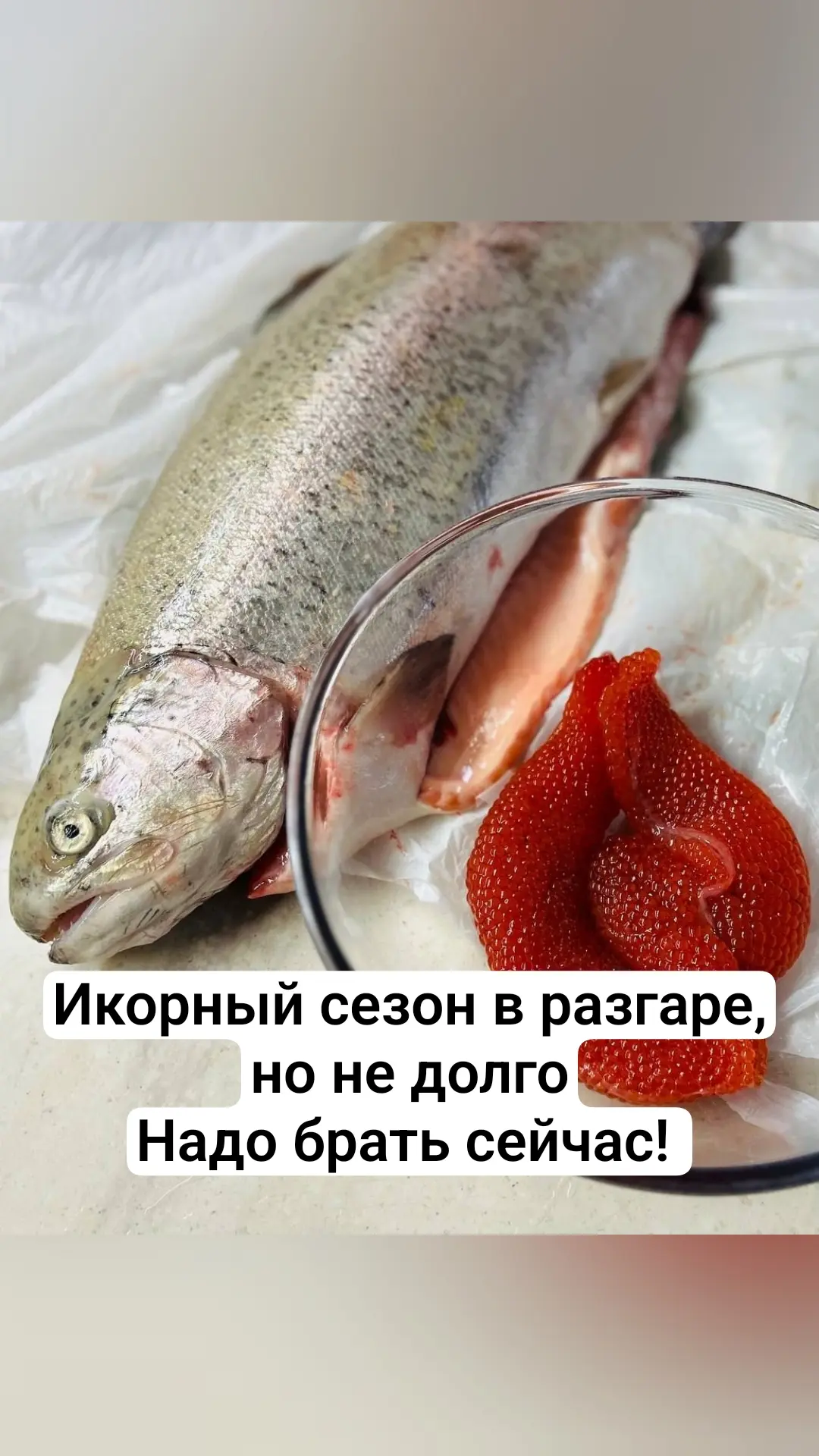🐟 Многим уже известен проект pokyshat.ru — он шестой год занимается икрой и деликатеса...
