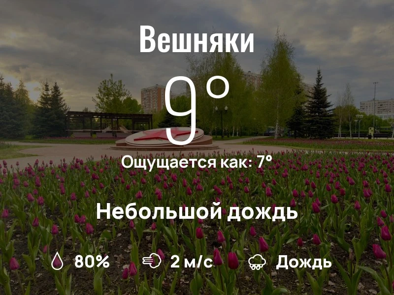 Что с погодой в Вешняках?