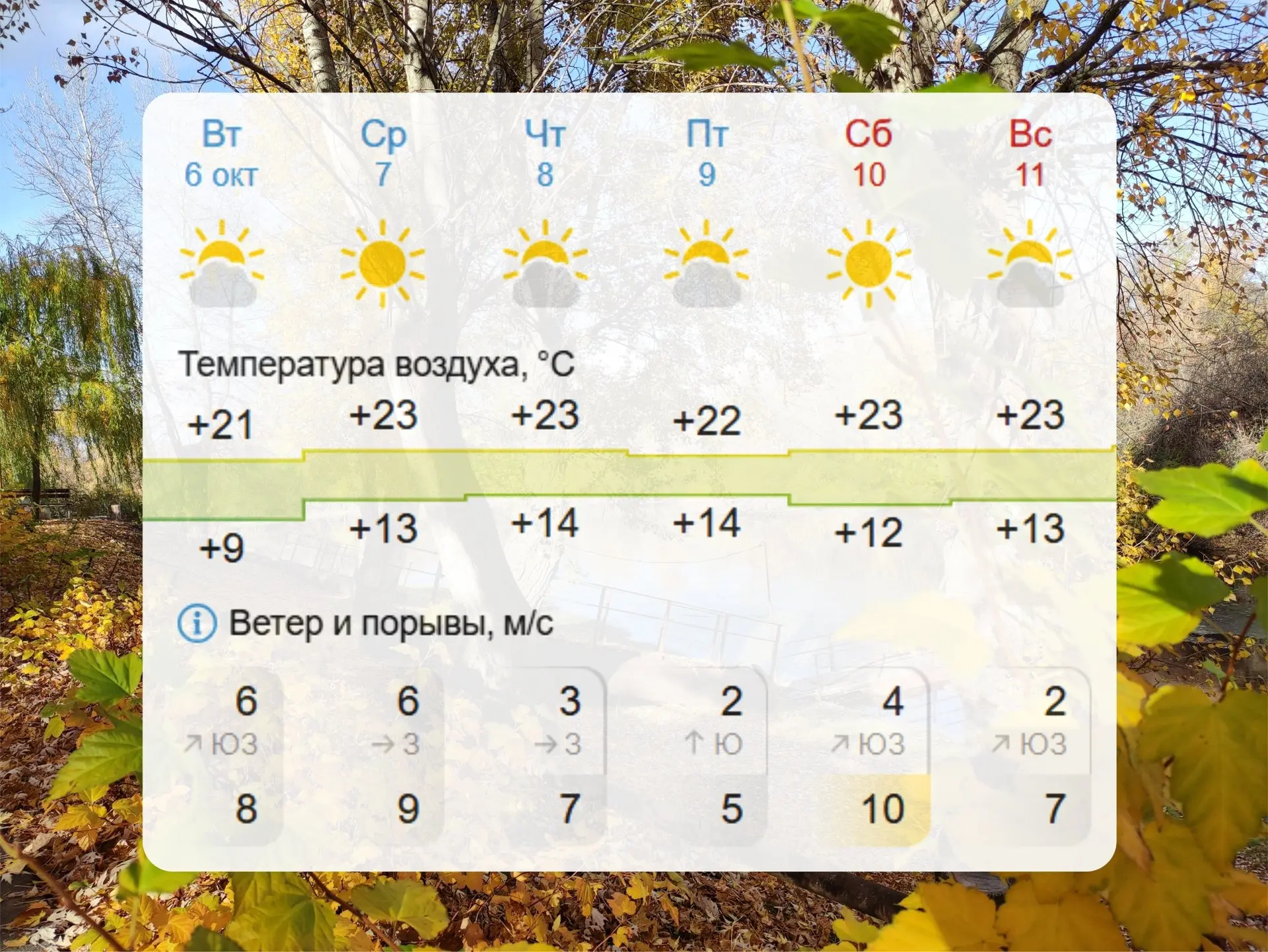 Прогноз погоды на ближайшие дни просто замечательный!