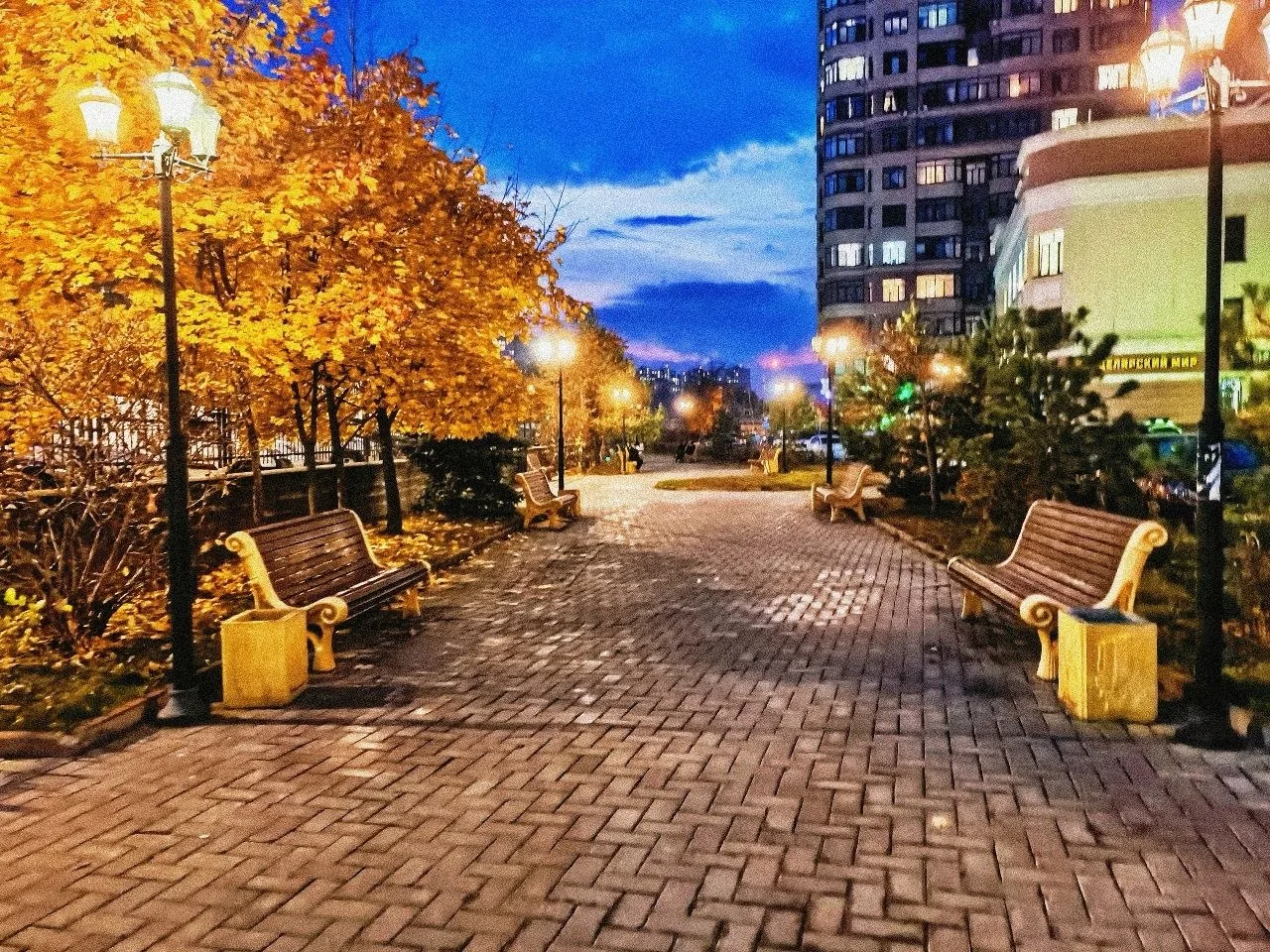🌳 Лесопарк «Восьмидорожье» в Раменском: 50 гектаров отдыха и спорта