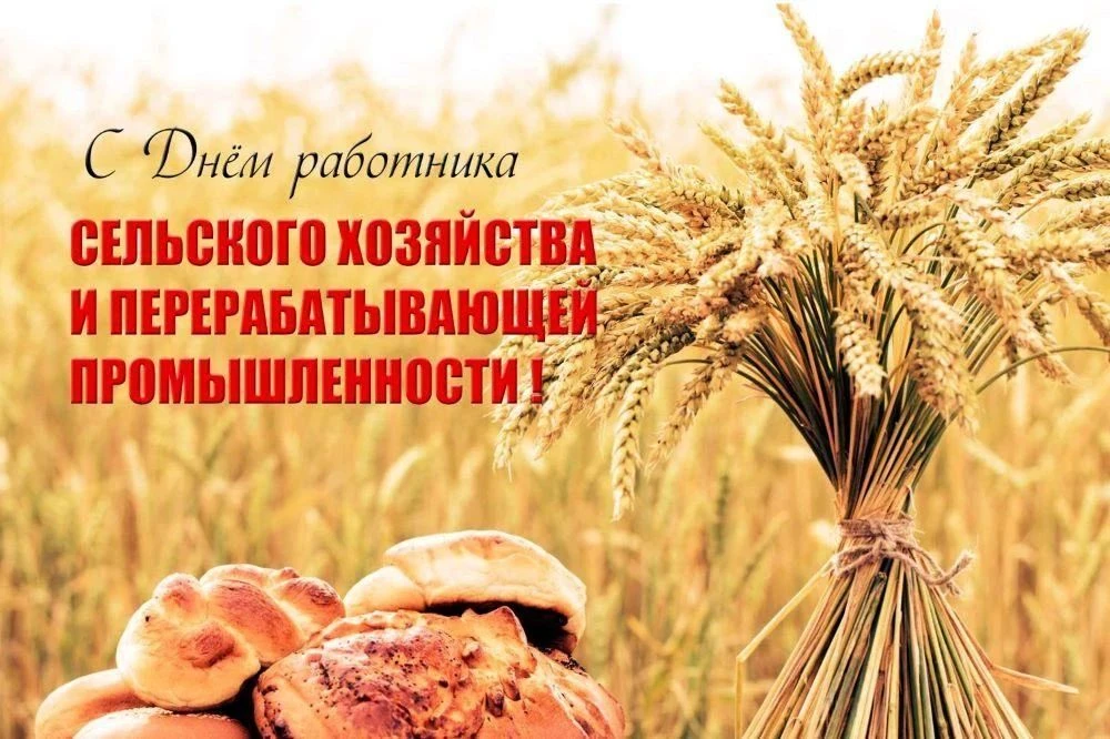 Уважаемые работники и ветераны сельского хозяйства!
