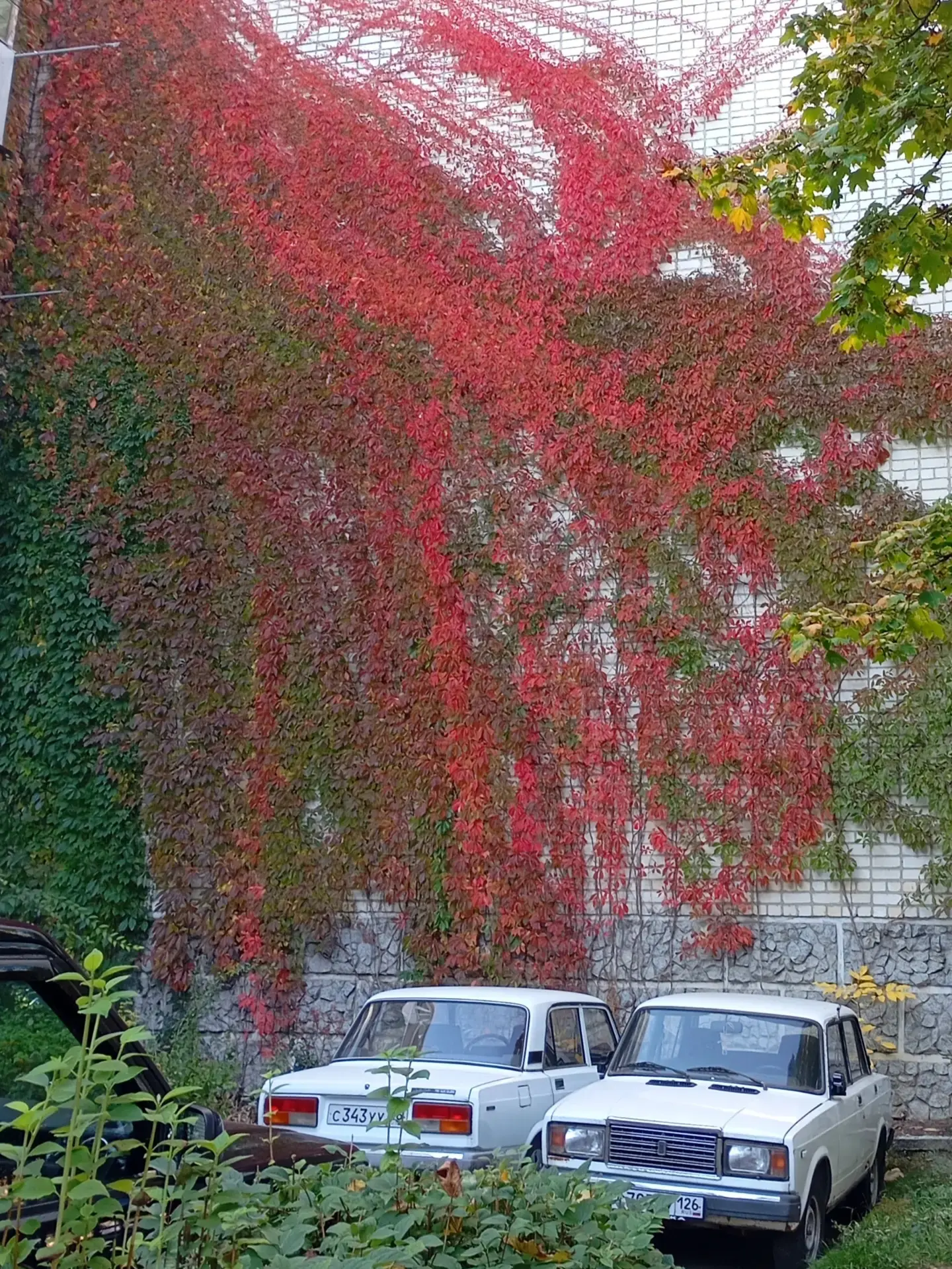 Дом на Мира 🍂