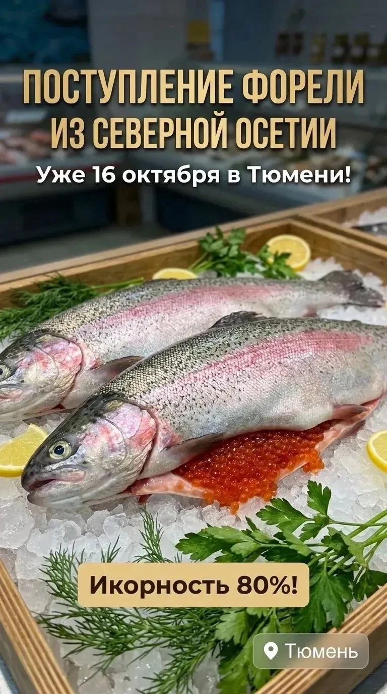 🐟 Свежайшая форель с икрой прямо из гор Северной Осетии! 🗻