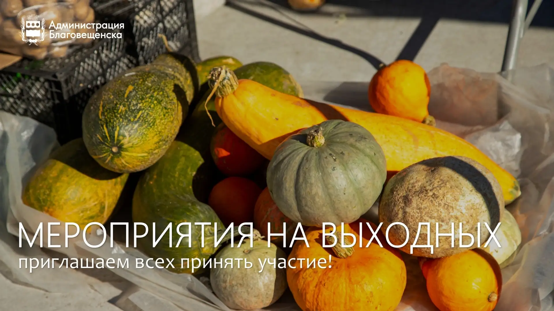 🏋‍♀ Яркие выходные могут провести жители и гости Благовещенска на этой неделе