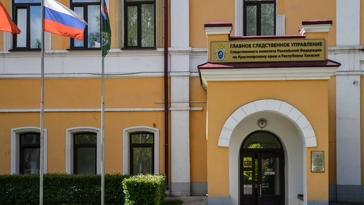 В Красноярске нападение на 9-летнюю девочку в Солнечном переквалифицируют в покушение н...
