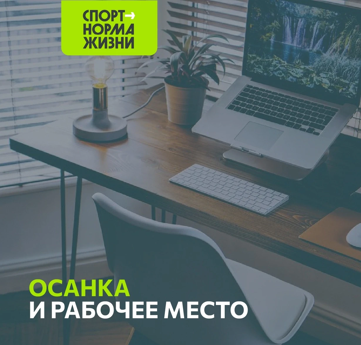🪑 Рубрика «Здоровый образ жизни»: осанка и рабочее место