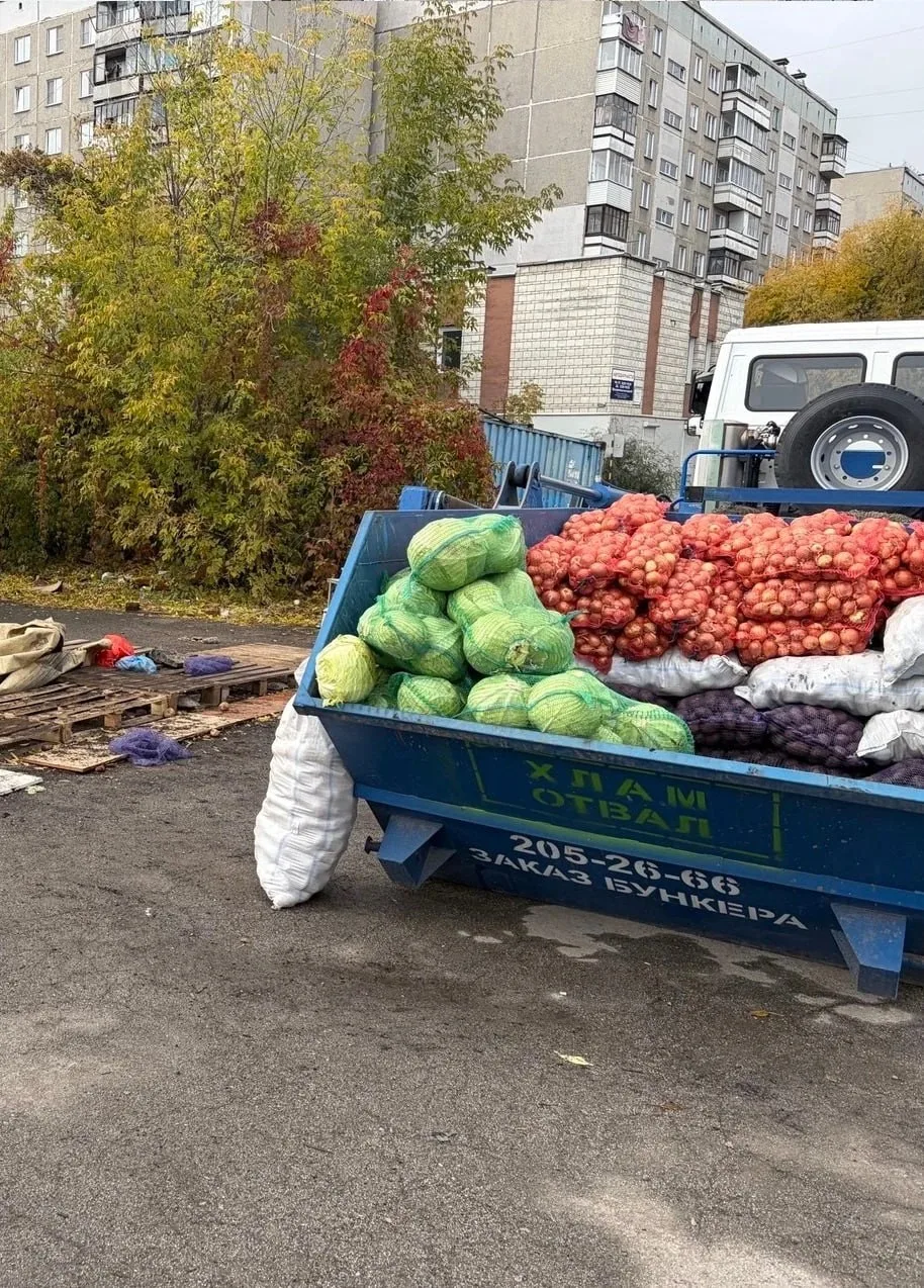 Семь тонн овощей изъяли у нелегальных торговцев в Новосибирске 🥔