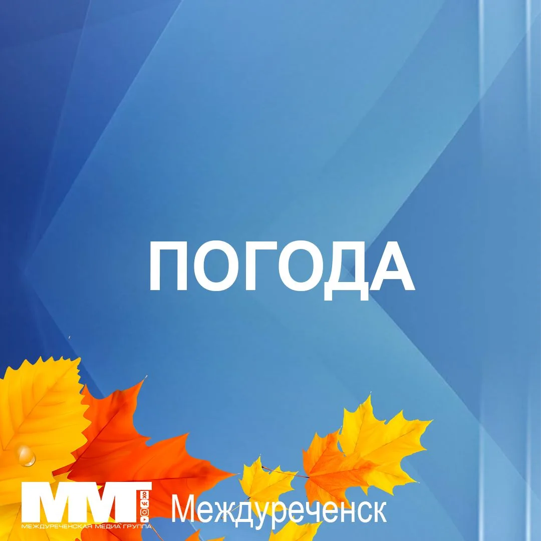 ❄️ ВСЁ, ПРИЕХАЛИ. ОСЕНЬ!
