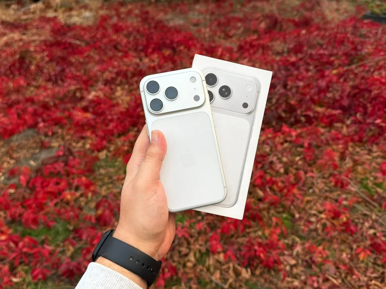 Продам iPhone 17 Pro 256 ГБ, б/у, Донецк, 85 000 руб.
