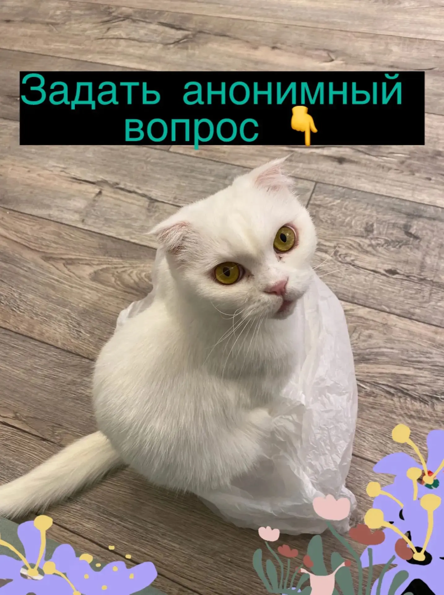 Задать анонимный вопрос https://max.ru/id402710024160_4_bot?start=4dc89a8f