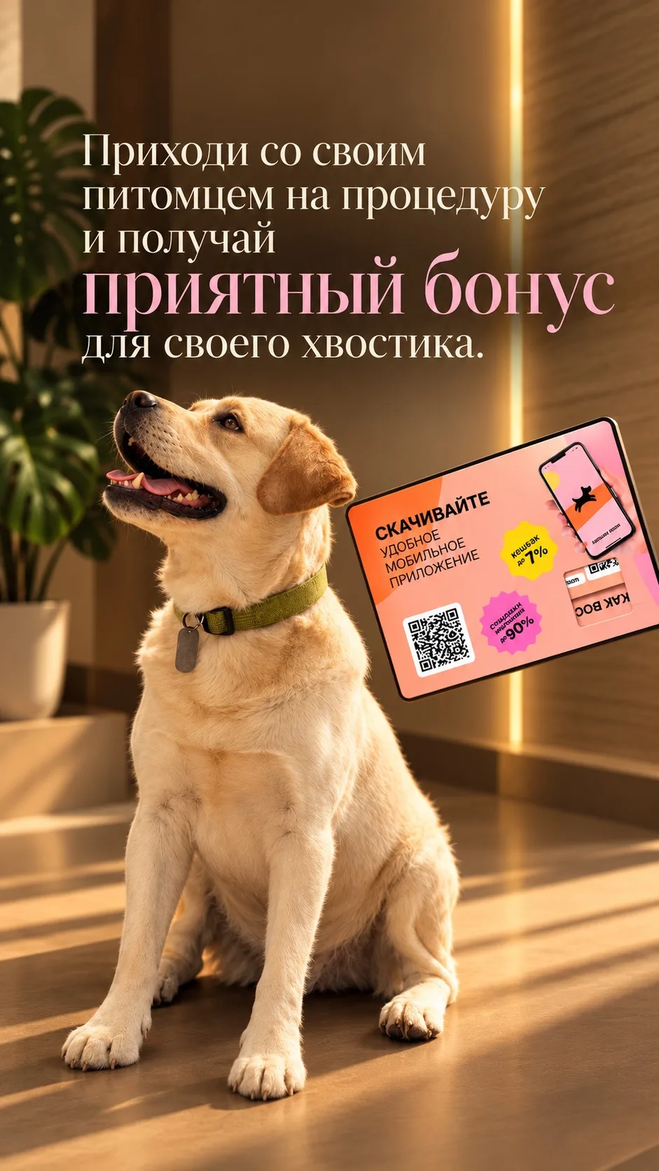 На бьюти — вместе 🐾