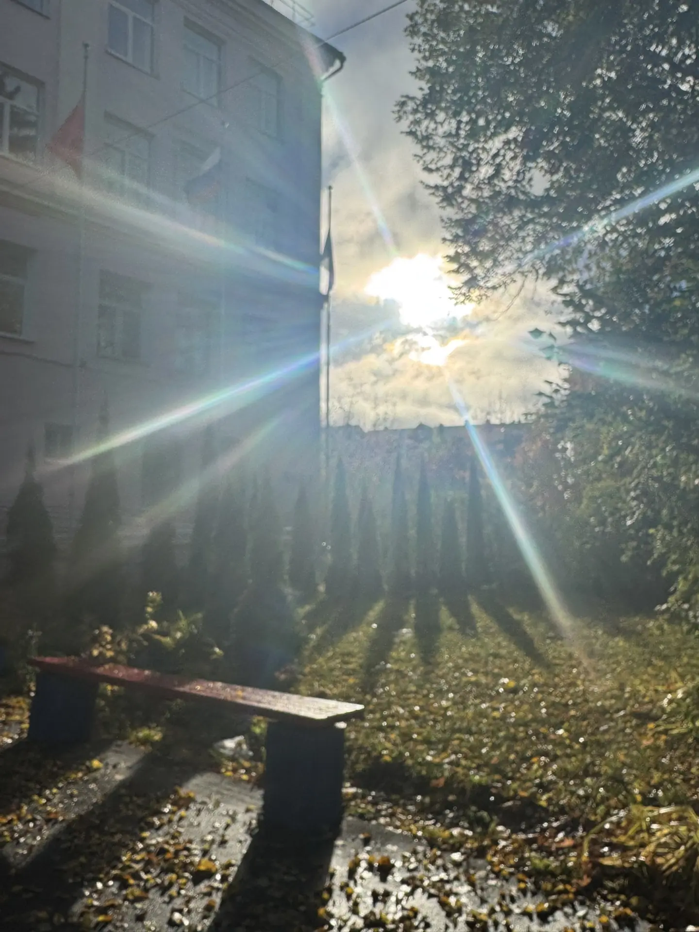 Школьный Медиацентр радует вас подборкой осенних фотографий 🍂