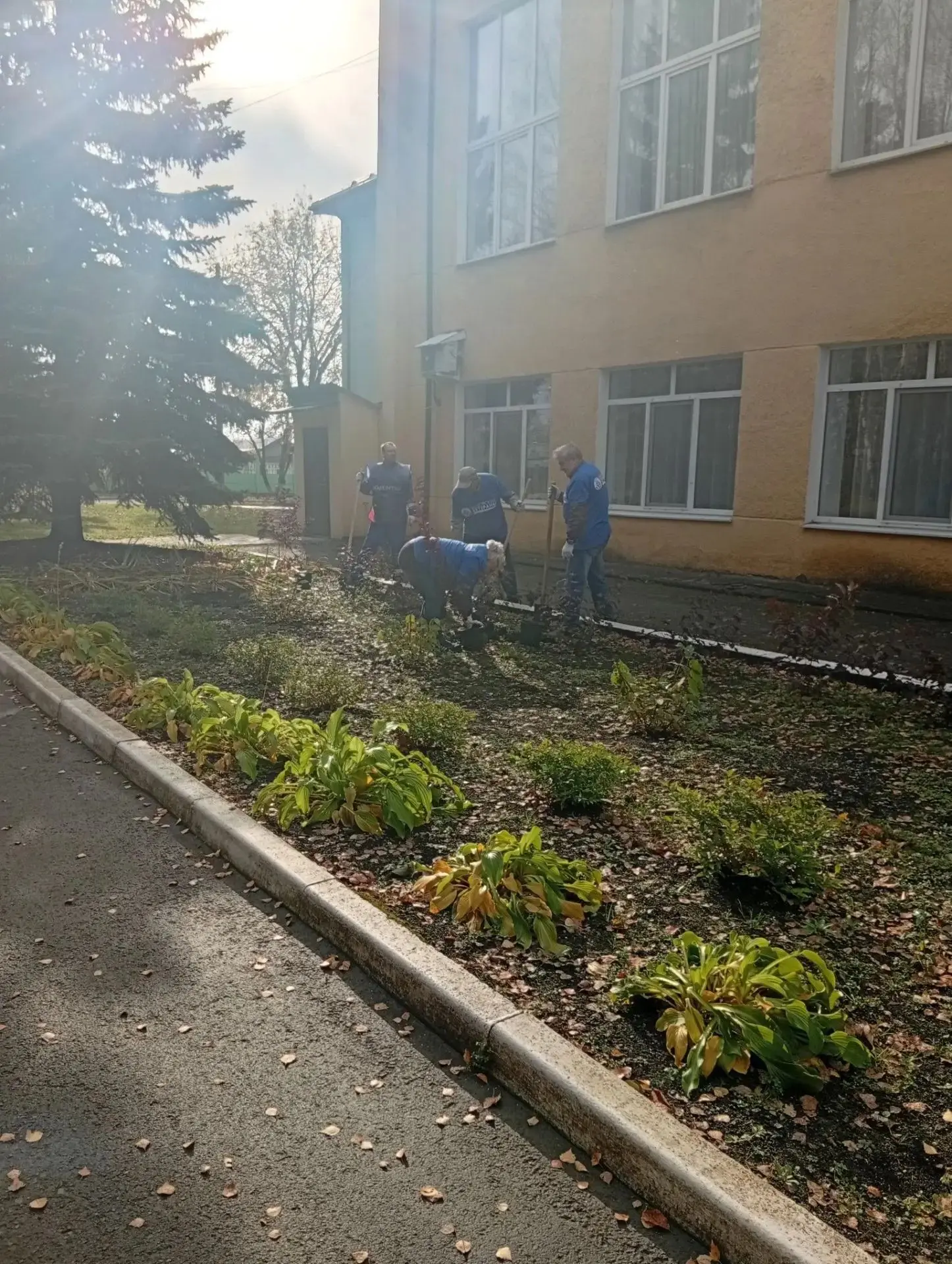 Акция от ООО ВИЗ-Сталь!👏🌱Сегодня наши друзья из ООО «ВИЗ-Сталь» сделали пансионату оч...
