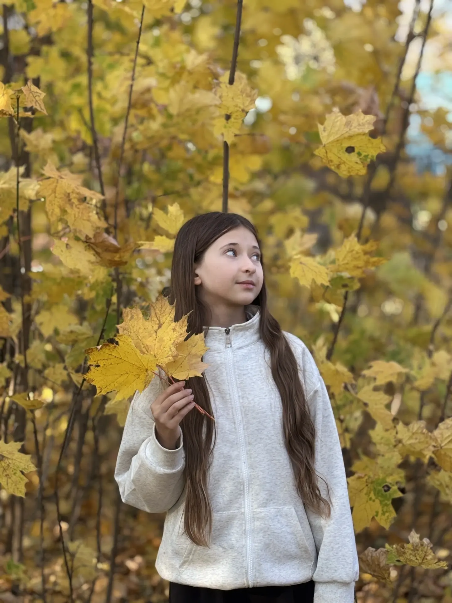 🍂 Шестиклассники ловят кадры золотой осени! 📸