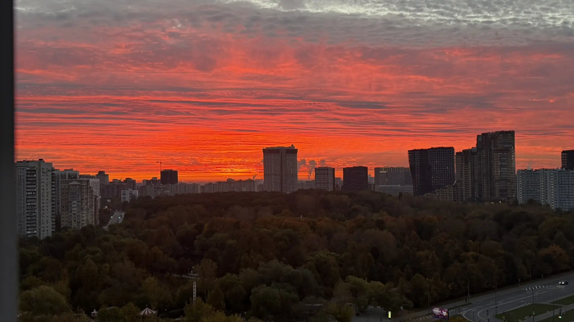 🍂 Кажется, осень переехала в Москву вместе со мной