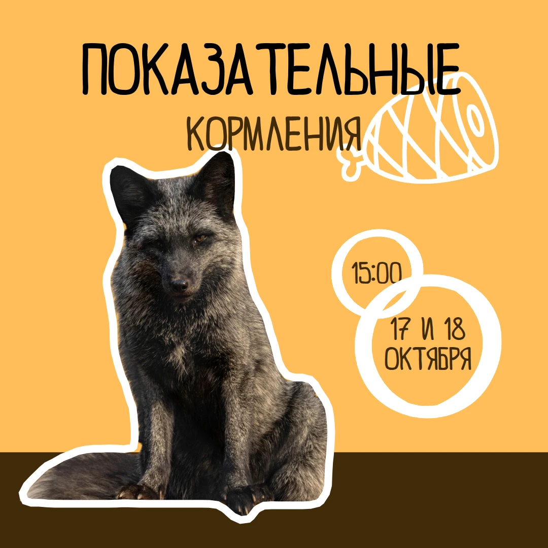 🍴 Ждём вас на показательных кормлениях в эти выходные. Участие — по входному билету в ...