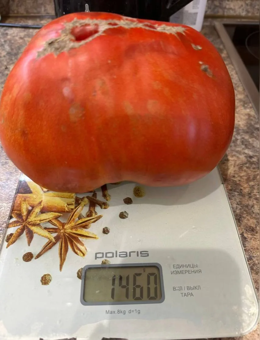🍅 Как вам такой урожай?