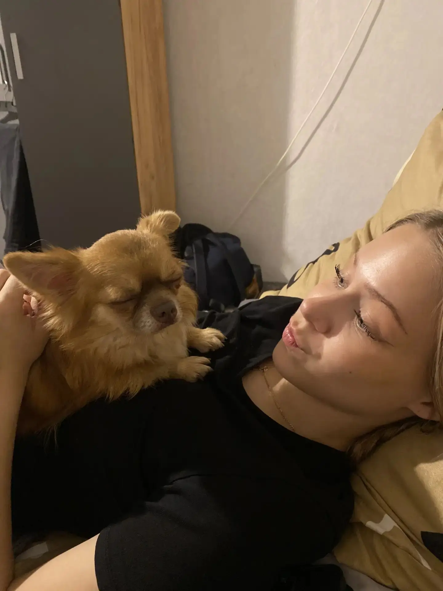 Первый фото-привет из дома от Бэтти🧡