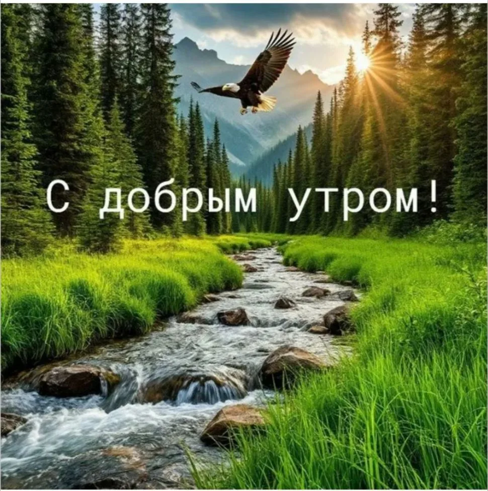 Аффирмация  дня!!!
