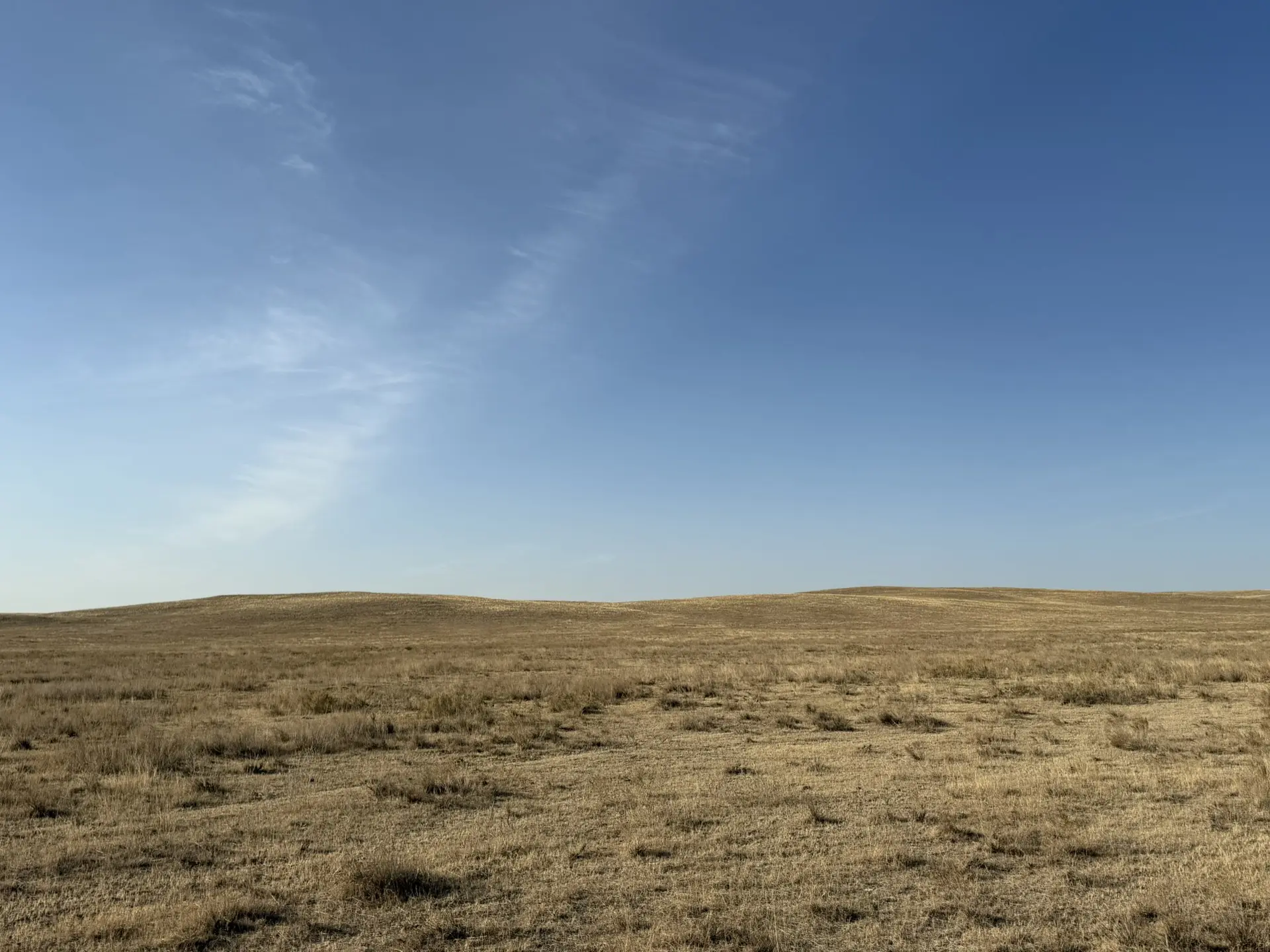 Приглашаем на пеший ход к святому месту «Три кургана».