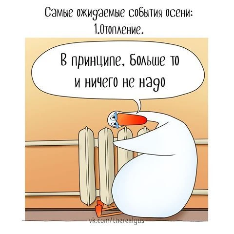 🌡Нам наконец-то дали отопление. Трубы в квартире стали тёплыми.