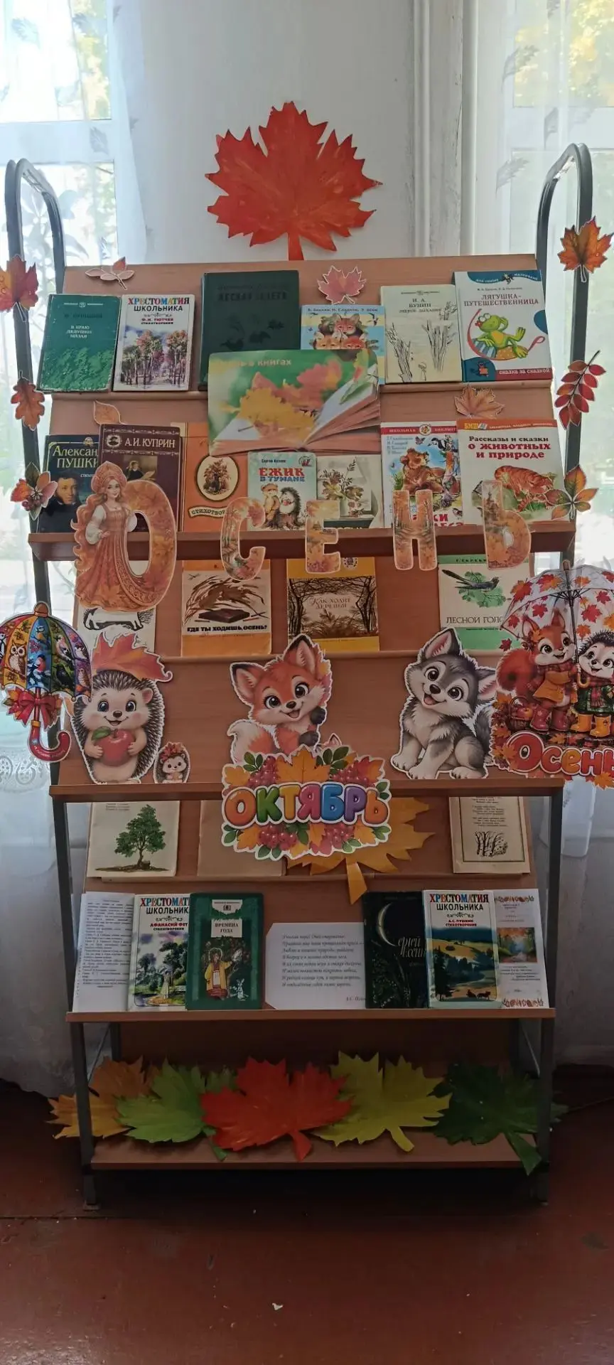 🍂📚 Дорогие друзья!