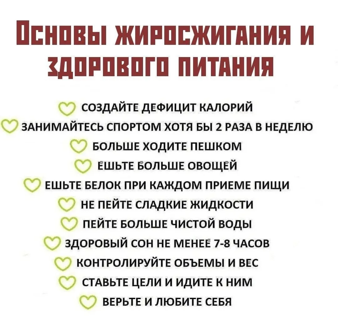 ✅Основы жиросжигания и здорового питания